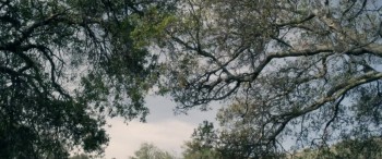 Don Quixote screenshot 1