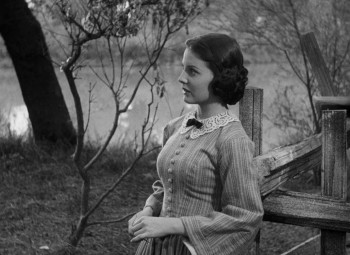 Young Mr. Lincoln screenshot 2