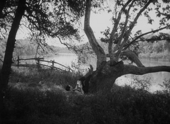 Young Mr. Lincoln screenshot 3