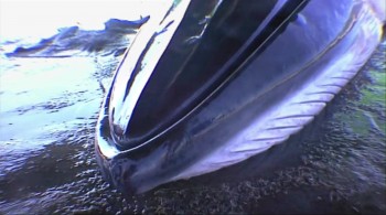 A Plastic Ocean screenshot 3