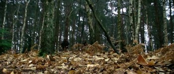 Knights of the Damned screenshot 3