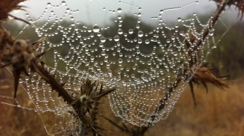 In Search of Balance screenshot 1