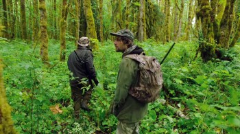 Woody Woodpecker screenshot 1