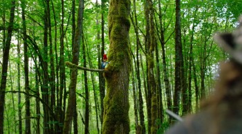 Woody Woodpecker screenshot 3