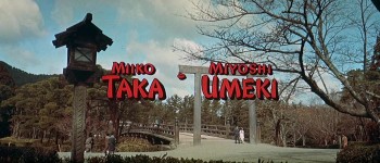 Sayonara screenshot 1