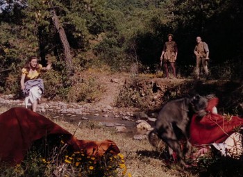 Captain from Castile screenshot 2