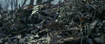 Wunderland screenshot 2