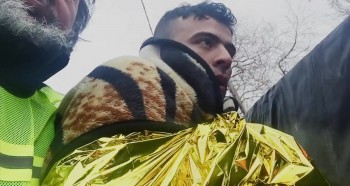 Human Flow screenshot 2