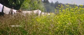 Den eviga vägen screenshot 1