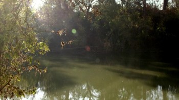 Agenda: Payback screenshot 1