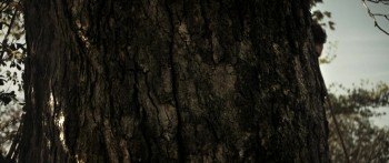 Bed of the Dead screenshot 1