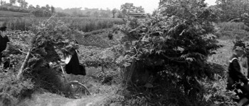 Teenage Yakuza screenshot 2