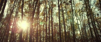 Battle Drone screenshot 1