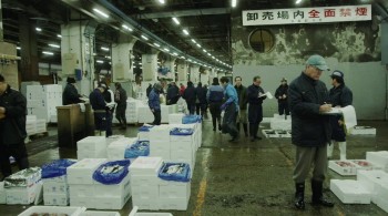 Tsukiji Wonderland screenshot 2