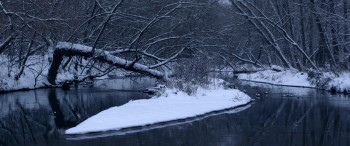 Loveless screenshot 2