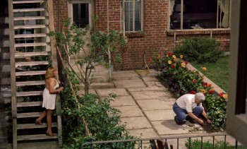 Rear Window screenshot 3