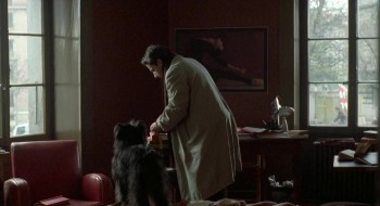 Three Colors: Red screenshot 2