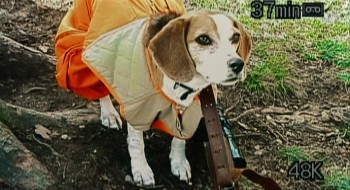 Bowling for Columbine screenshot 1