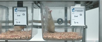 Downsizing screenshot 3