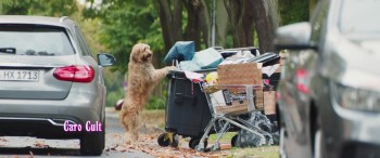 High Society screenshot 3