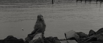 Wonderstruck screenshot 2