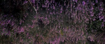 Center of My World screenshot 2