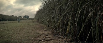 Of Mind and Music screenshot 1