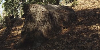 Black Marigolds screenshot 1