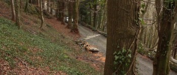 The Adored screenshot 1