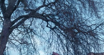 Phantom Thread screenshot 1