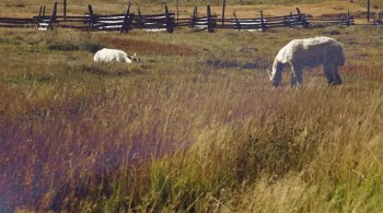 Paradox screenshot 1