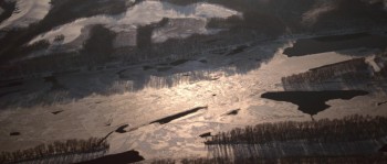 Black Web screenshot 1