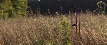 Forever's End screenshot 1