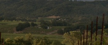 The Feels screenshot 1