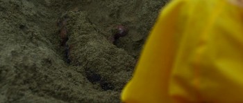 Re: Born screenshot 3