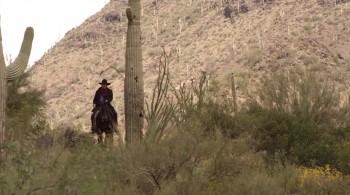 Cowboy Zombies screenshot 3