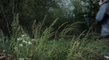 If There Be Thorns screenshot 1