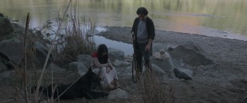 Birdshot screenshot 2
