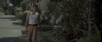 Birdshot screenshot 3