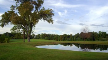 Froning: The Fittest Man in History screenshot 1