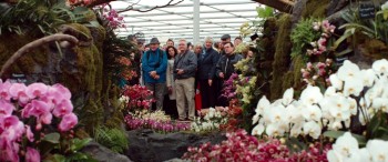 Dare to Be Wild screenshot 2