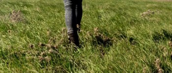 Coldwater screenshot 1