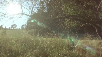 The Duke screenshot 1