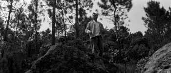 Stop Me Before I Kill! screenshot 1