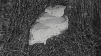 Andre the Giant screenshot 1