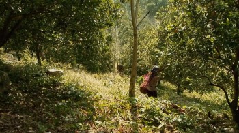 Farewell Ferris Wheel screenshot 1