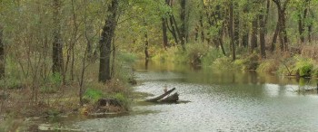 Monster Hunt 2 screenshot 1