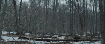 We've Forgotten More Than We Ever Knew screenshot 1