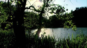 Greener Mountains screenshot 1