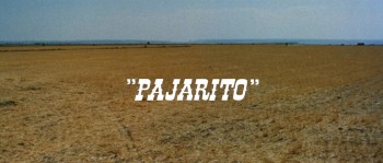 The Return of Ringo screenshot 2